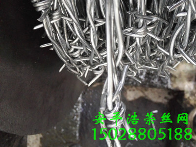 電鍍鋅刺繩 電鍍鋅刺繩
