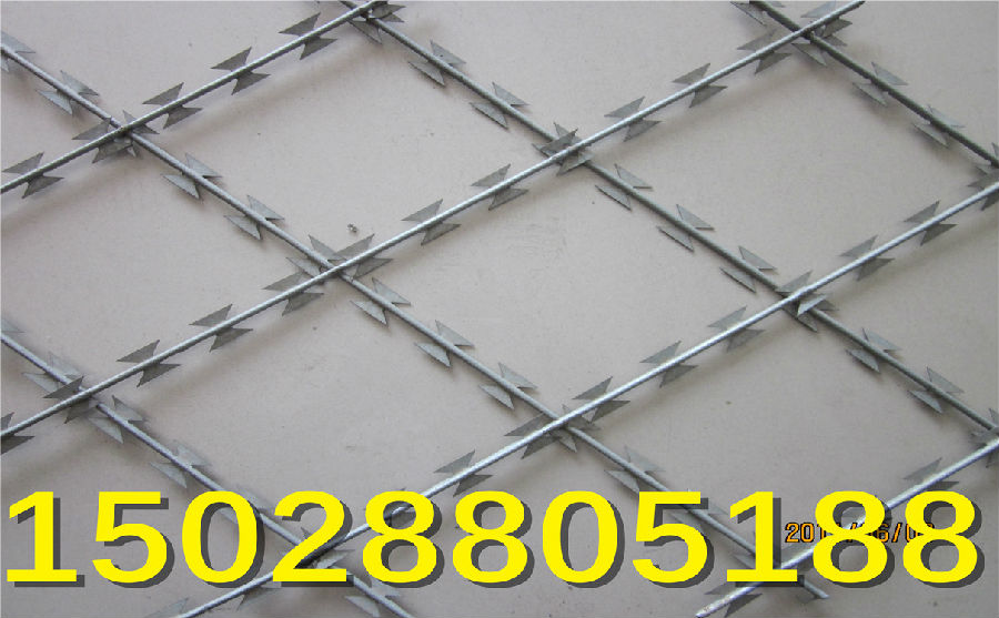 刀片刺網(wǎng) 刀片刺網(wǎng)