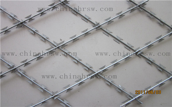 監(jiān)獄刀片刺繩防護(hù)網(wǎng)細(xì)節(jié)圖 監(jiān)獄刀片刺繩防護(hù)網(wǎng)細(xì)節(jié)圖