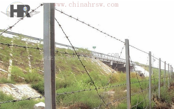 刺繩實(shí)拍圖 刺繩實(shí)拍圖