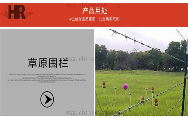 刺絲圍欄 刺絲圍欄