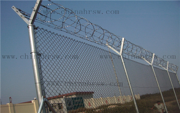 刀片刺網(wǎng) 刀片刺網(wǎng)