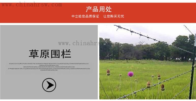 刺繩防護網(wǎng) 刺繩防護網(wǎng)