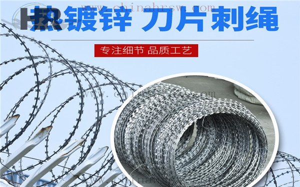 熱鍍鋅刺繩 熱鍍鋅刺繩