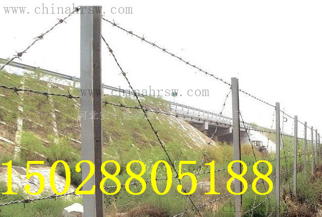 刺繩價(jià)格 刺繩價(jià)格