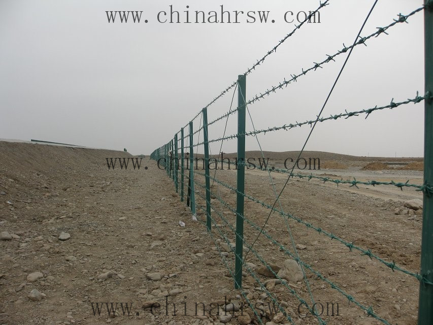 刺繩防護網(wǎng) 刺繩防護網(wǎng)