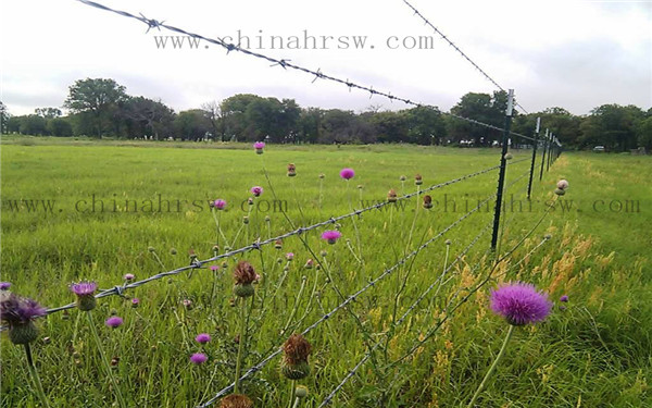 鍍鋅刺繩的防護(hù)效果 鍍鋅刺繩的防護(hù)效果